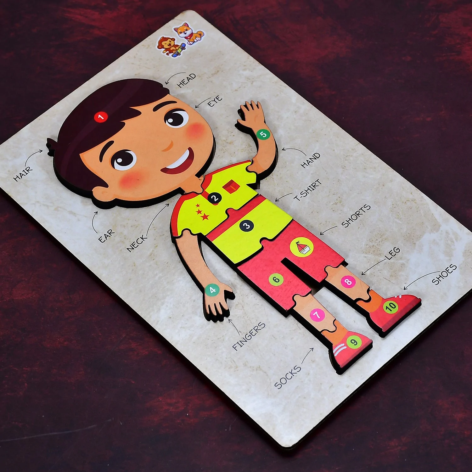 Wooden Boy Body Parts Puzzle with Pictures (3)